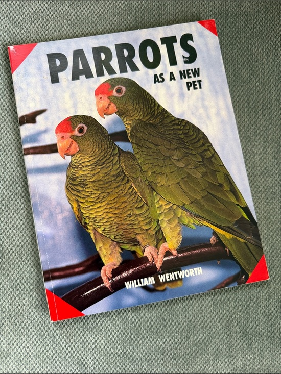 Other - Parrots as a New Pet
